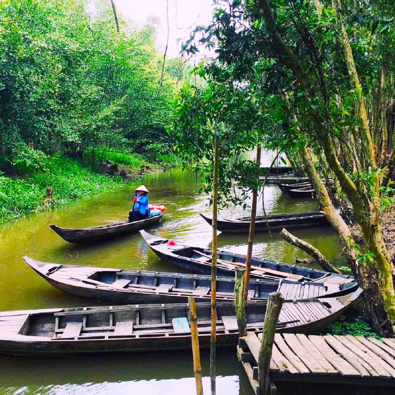 Start your visa-prepared journey with Mekong Delta’s vibrant glow